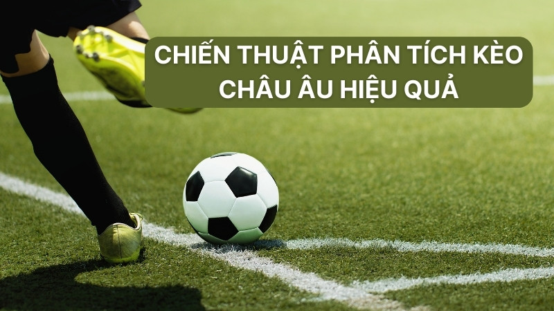 Kèo Châu Âu: Hướng Dẫn Đọc Và Phân Tích Tỷ Lệ Chuẩn Xác 3 Chiến thuật phân tích kèo châu âu hiệu quả