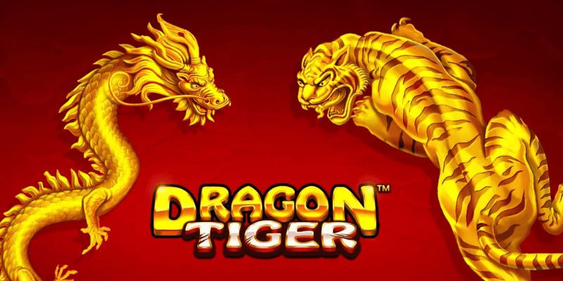 Cách Chơi Rồng Hổ – Bí Quyết Giúp Chinh Phục Game Hiệu Quả 3 Quy tắc, cách chơi Rồng Hổ